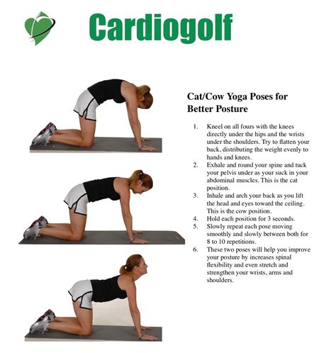 Step 2 download the free cat pose card. 15+ Cat Cow Pose Yoga Asana | Yoga Poses