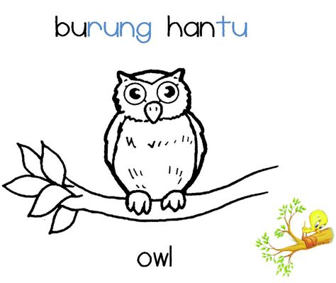 CIKGU EELA (IL) PRESCHOOLERS @ PCE: buku skrap :: burung