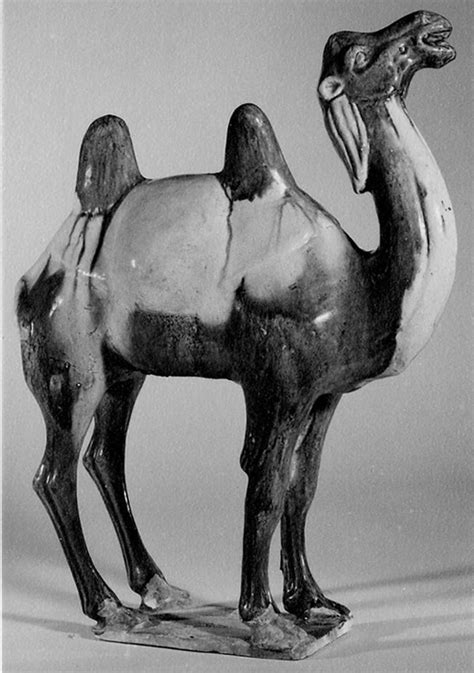 The catastrophe saw many cities, including the capital, chang'an and the auxiliary capital, louyang, left in ruins and. Camel | China | Tang dynasty (618-907) | The Met