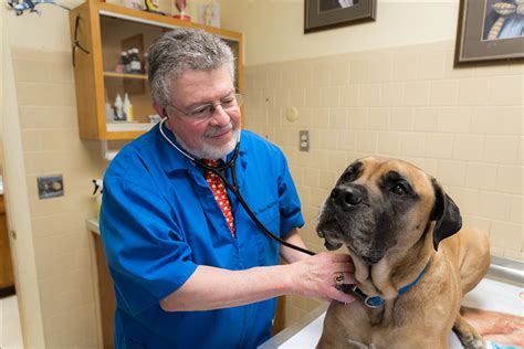 We enjoy getting to know you and your pet as we assist you in. Lakeville Animal Hospital - Veterinarian in Lakeville, MA ...