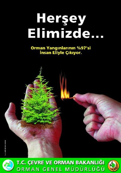 Okul kitaplarında orman yangınları ile ilgili bilgilerin yer almasını sağlayabilirler. HAYATIMIZ OKUL: Orman Haftası ve Ağaçların Önemi İle ...