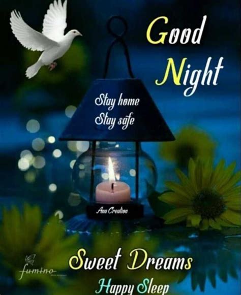 Stay the night — party people. Pin by Mulu Hao on good night in 2020 | Stay the night ...