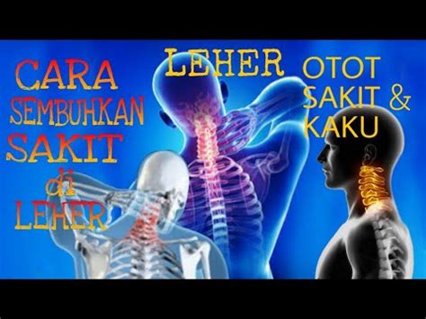 Sakit punggung yang dirasakan terkadang bisa cukup berat hingga membatasi aktivitas penderitanya. Ruas Tulang Belakang Terasa Sakit | 02 Nyeri Tulang Belakang