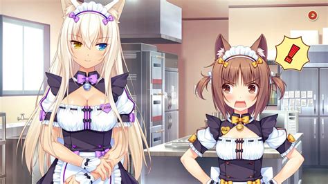 Din the first game we are introduced to kashou minaduki, a chef born into a long. Nekopara Vol.3 - PC Free Download - BLOGnyaadist