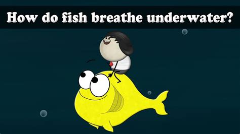 I think some snails are truly aquatic and have gills to breathe. How do fish breathe underwater? | #aumsum - ボイスチューブ ...