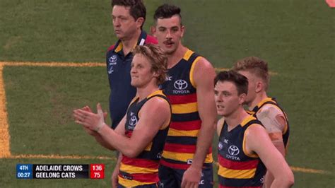 Generously listed at 78kg, possibly while wearing clothes, boots and carrying a bag, naish went at martin with trepidation and a plan. Rory Sloane GIFs - Find & Share on GIPHY