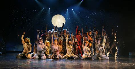 The musical tells the story of a tribe of cats called the jellicles and the night they make what is known as the jellicle choice and decide which. Broadway Kitties in Istanbul: Cats the Musical