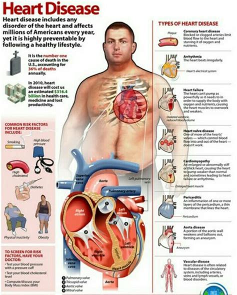 Tekanan darah tinggi dapat disebabkan oleh berbagai hal. 7 langkah untuk kurangkan tekanan darah tinggi | zuwankb