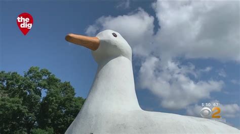 Long island's most famous landmark, the big duck is listed on the national register of historic places in washington, d.c. The Dig: Long Island's Big Duck - YouTube