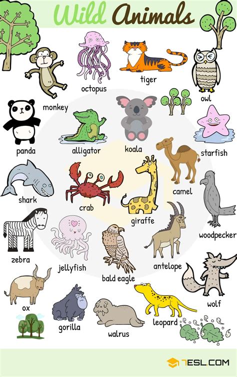wild-animal-vocabulary-in-english-eslbuzz-learning-english-animals-name-in-english,-english
