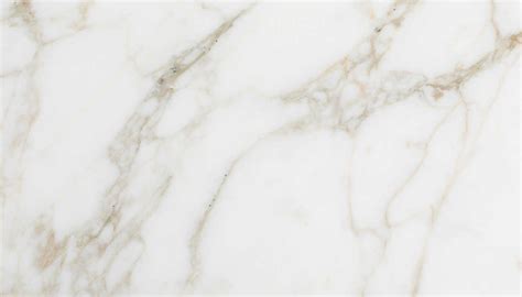 Collezioni marmi e pietre di estudio arqué: Calacatta 12×24 Honed Marble - Tileforless