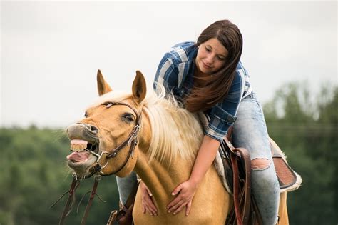 Camel ride makes the journey magical because you will get to know the vast culture and many unknown sides of the desert area. What's The Best Way To Pet A Horse [8 Useful Tips ...