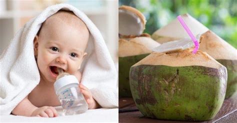 Air yang ada di dalam buah kelapa ini memiliki kandungan elektrolit yang banyak sehingga sangat cocok untuk mengembalikan cairan di dalam tubuh. Air kelapa untuk bayi sangat bermanfaat, kapan bisa ...