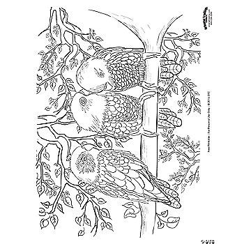 Free valentine coloring pages oriental trading oriental trading coloring pages awesome oriental trading free. Bird Scene Adult Coloring Page Free Printable | Oriental ...