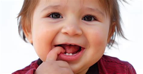 Erste symptome, hilfsmittel & pflege. Wann bekommt ein baby zahne. Die ersten Zähne - Ist mein ...