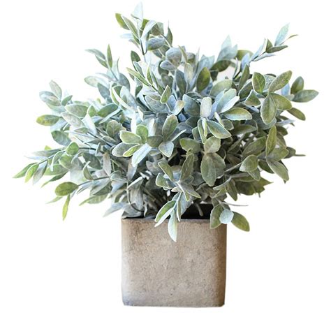 See how to plant sage indoors from seeding to transplant container. Artificial Sage Bush With Pot | Artificial plants outdoor, Artificial garden plants, Small ...