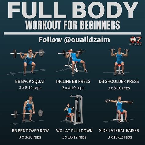 Total Body Workout Routine And How To Set Up Your Workout ...