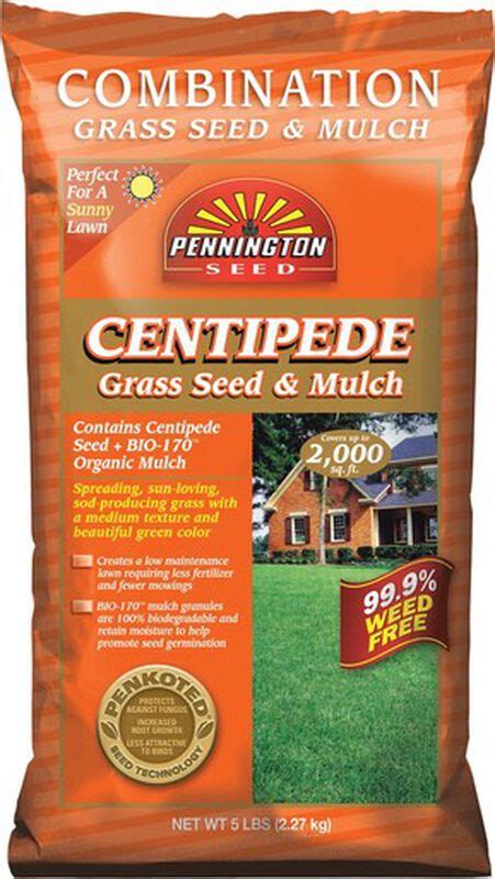 (3) follow your normal water, fertilizing and mowing practices for the area you have planted on. Centipede grass seed with mulch 5 lb | Stine Home + Yard ...