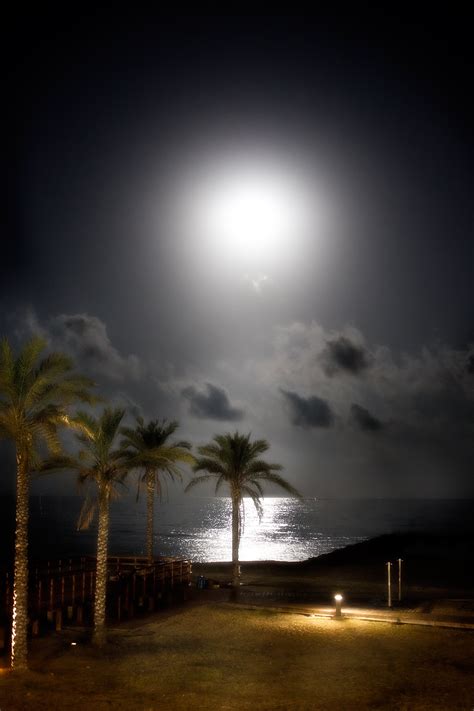 Calle de la nasa 1, edificio torre san fernando ,playa de san juan, alicante, spain. Playa L'Almadrava / Almadraba en Benicasim / Benicàssim, Castellón
