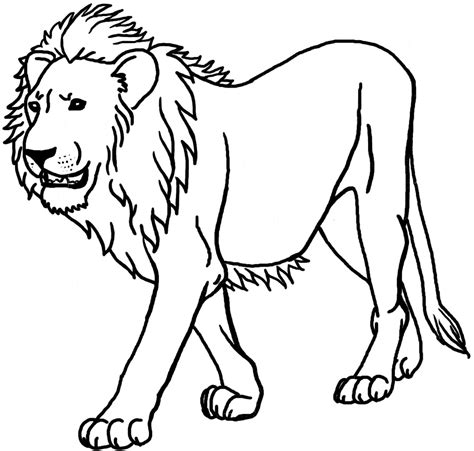 Lion coloring page to print and. Download Lion coloring for free - Designlooter 2020 👨‍🎨