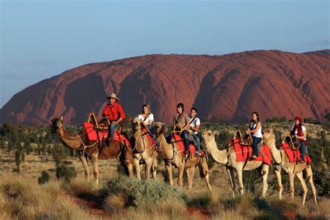 The feral camel management project aims to to protect key areas of biodiversity and native habitat, ferguson says, including 18 priority environmental assets. there are camels in such remote areas that there is no option but to shoot to waste leaving the carcasses. ferguson notes that other. Info-Junction Blog: 10 Animals You Can Find In Unexpected ...