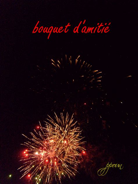 Feux d'artifice avec photo et texte personnalisable. gifs feux artifice