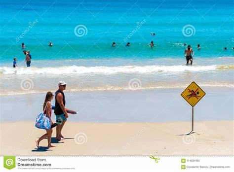 Get the latest weather forecast in byron bay, australia for today, tomorrow, and the next 14 days, with accurate temperature, feels like and humidity levels. People Enjoying The Sunny Weather On The Beach At Byron ...