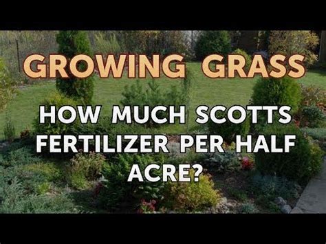 1620000 kg) soil you need to apply 200. How Much Scotts Fertilizer Per Half Acre? - YouTube