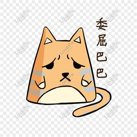 We did not find results for: Gambar Kucing Oranye Lucu - KucingComel.com