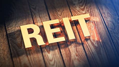 In the fifties and sixties, disabled children were not allowed in regular. What Are the Pros and Cons of Owning an Equity REIT vs. a ...