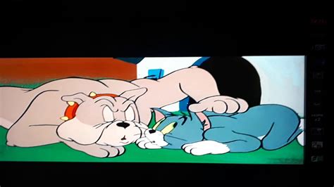 Don't be judgmental, just because your opponent looks tiny, does not mean he cannot beat you. Tom and Jerry love that pup - YouTube