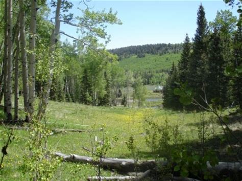 Address, phone number, blue mesa fishing reviews: Blue Mesa Subdivision in Gunnison County near Powderhorn ...