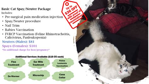 Cheaper veterinary bills due to less injuries, infections and disease. Cat Spay/Neuter - Affordable Veterinary Care