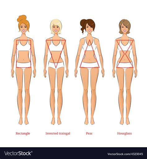 Find over 100+ of the best free woman body images. Female body types Royalty Free Vector Image - VectorStock