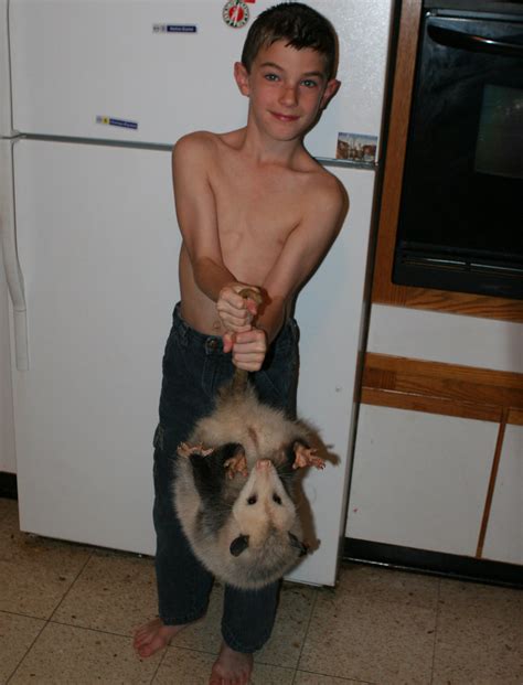 They usually stick to eating dead things or any pet food that is left outdoors. Fletcher with Possum - Virginia | Possums come to eat our ...