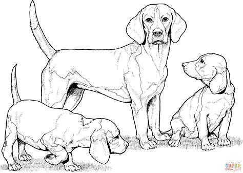 We have selected the best free dogs coloring pages to print out and color. Realistic Puppy Coloring Pages - Coloring Home