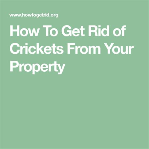 2 use a live trap. How To Get Rid of Crickets From Your Property | Getting ...
