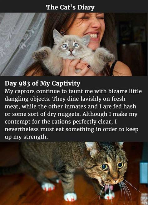 Day 983 of my captivity. Hilarious Comparison Of A Cat's Daily Diary Vs. A Dog's ...