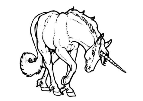 Bellissimi unicorno disegni per principianti e non. Disegno da colorare unicorno - Disegni Da Colorare E ...