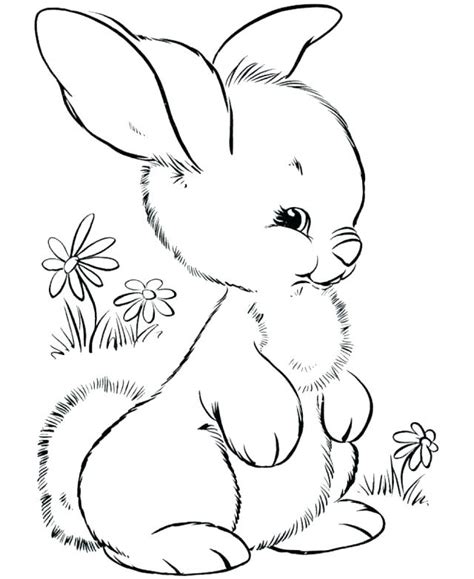 We did not find results for: Woodland Creatures Coloring Pages at GetColorings.com ...