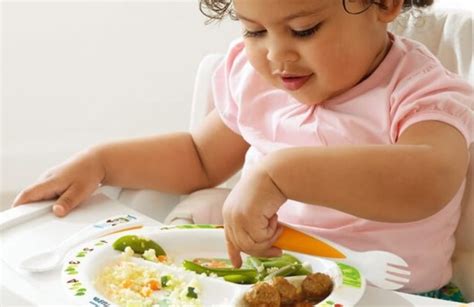 Yakni, fase ketakutan untuk menerima makanan baru. √ Berbagai Jenis Makanan Anak 1 Tahun untuk Mencukupi ...