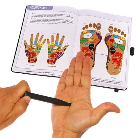 Radiance Personal Lifestyle and Nutrition Planner ...