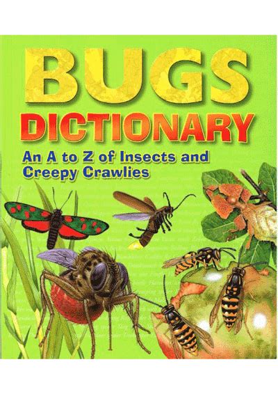 Do you teach abc order in your classroom? Fyndit | Bugs Dictionary by (9781776556861)