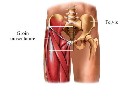 Severe pain or discomfort in the pelvis or hip area, muscle cramps in the upper leg. The 5 Most Common Kicking Injuries: #2 Groin