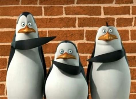 We have found the following website analyses that are related to penguins of madagascar meme. Penguins Of Madagascar Meme Templates