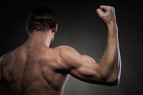 The muscles of the arm that can be seen easily on the surface include: Armtraining - muskelaufbauprofi.de