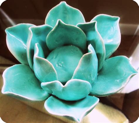 Flowers are one of the most beautiful creations of nature. Turquoise Lotus | Turquoise Lotus Patty bought me the ...