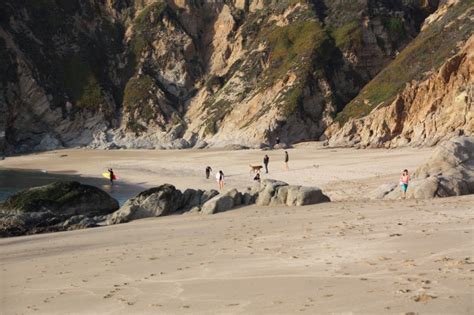 California no longer has a travel advisory in effect. Gray Whale Cove - North Beach, Montara, CA - California ...