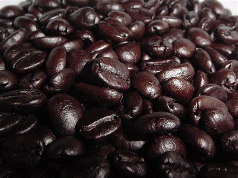 We did not find results for: Why use ground coffee when you can use whole beans? | Bean ...