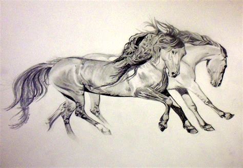 Horse gait dog breed, horse, horse, animals png. Running Horses Drawing at GetDrawings.com | Free for ...